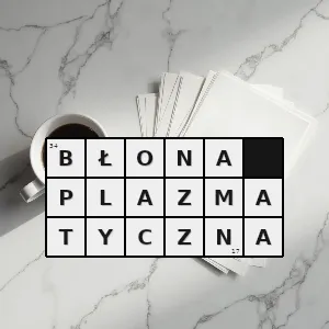 Rozwiązanie krzyżówki: półprzepuszczalny - błona plazmatyczna | hasła, synonimy i podpowiedzi Hasło krzyżówkowe półprzepuszczalny - błona plazmatyczna – rozwiązanie, synonimy, podpowiedzi i definicje krzyżówkowe